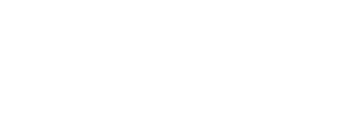 ARES IBRAMED
