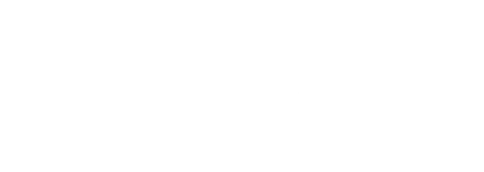 DERMAROLLER.webp