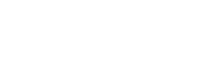 newskin
